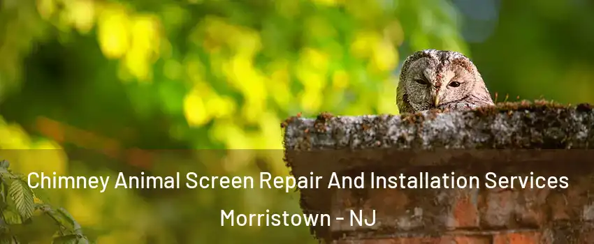  Chimney Animal Screen Repair And Installation Services Morristown - NJ