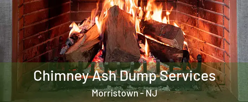  Chimney Ash Dump Services Morristown - NJ
