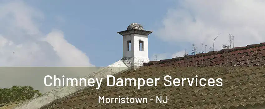  Chimney Damper Services Morristown - NJ