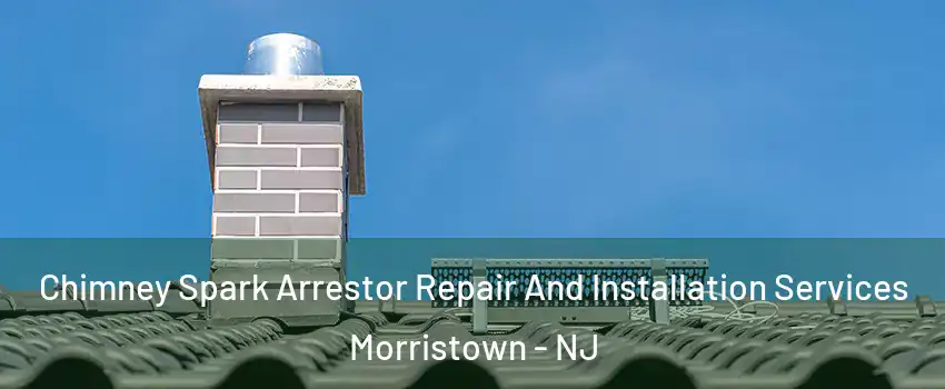  Chimney Spark Arrestor Repair And Installation Services Morristown - NJ