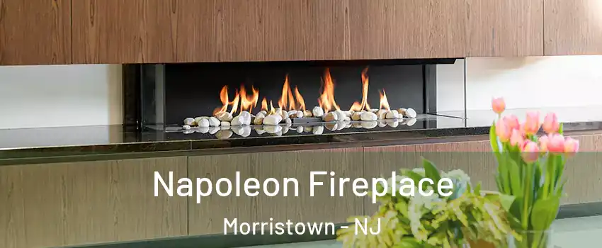  Napoleon Fireplace Morristown - NJ